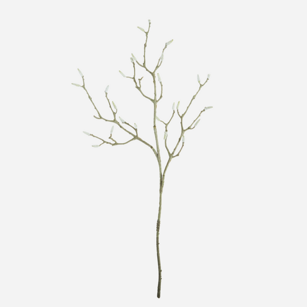 [28200001479] Magnolia hvít blóm 95cm