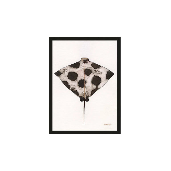 [01879857] Eagle Ray 50x70