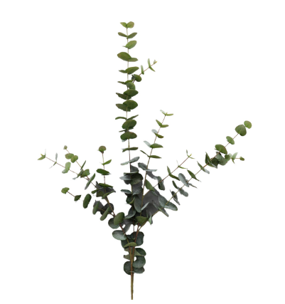 [02086131] Eucalyptus 120cm green
