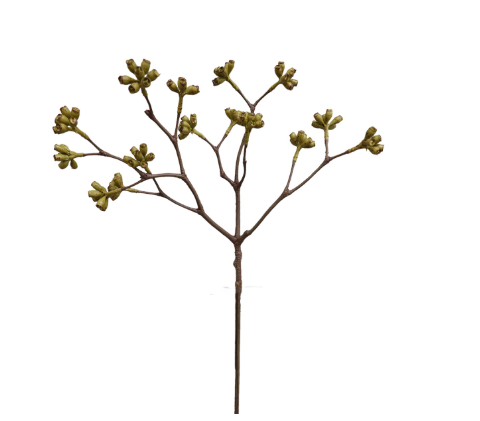 [02025x15x92 cm] Eucalyptus 66cm green