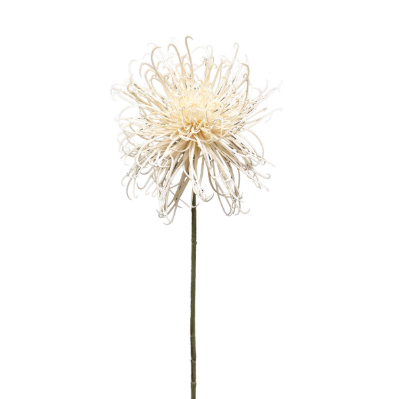 [02086115] Chrysant 97 cm creme