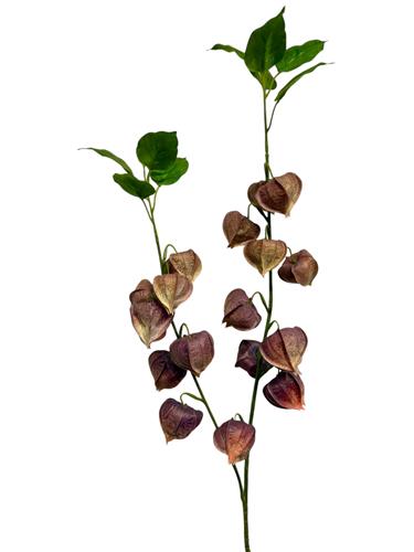[02020180] Physalis spray yellow 92cm
