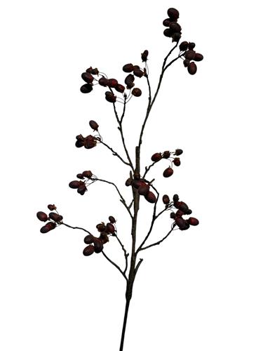 [0200149] Berry spray wine red 120 cm