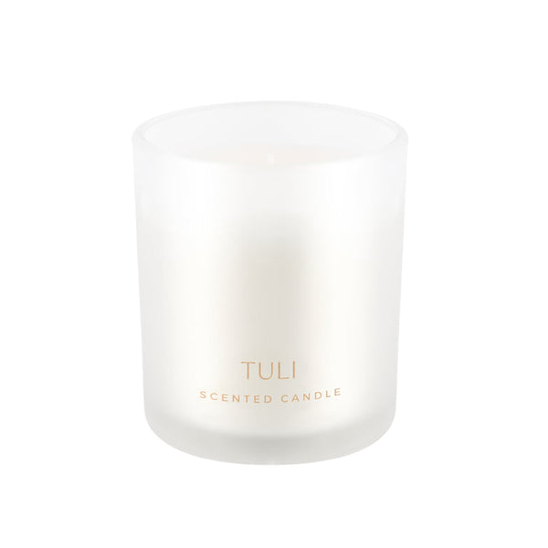 [0250077] Tuli kerti Fronzen pine 220g