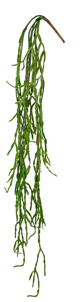 [02451483] Hanging cactus green 150cm