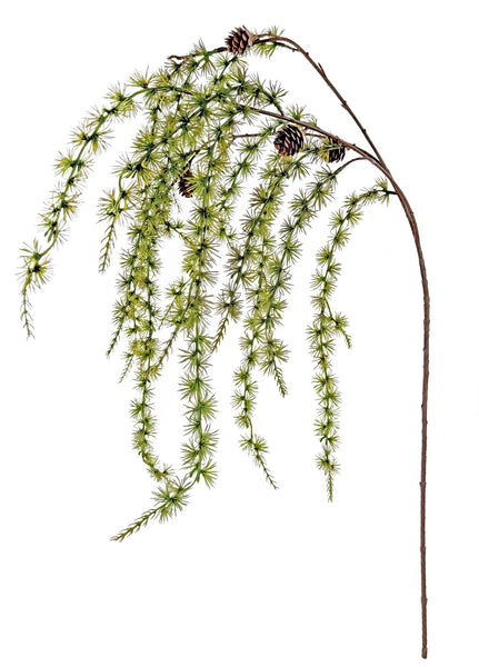 [02470396] Larix gerviplanta m könglum 120cm