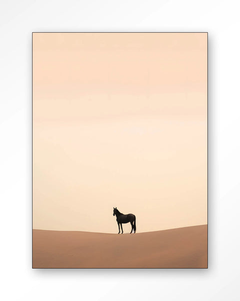 [01825130] Desert horse 110x145cm