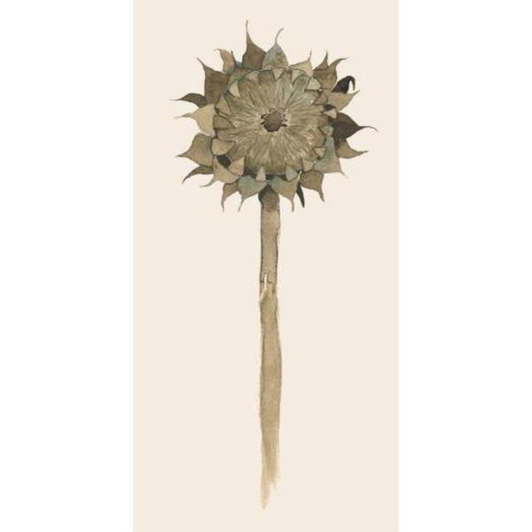 [28290095890-00] Servíettur Sunflower in decay 16stk