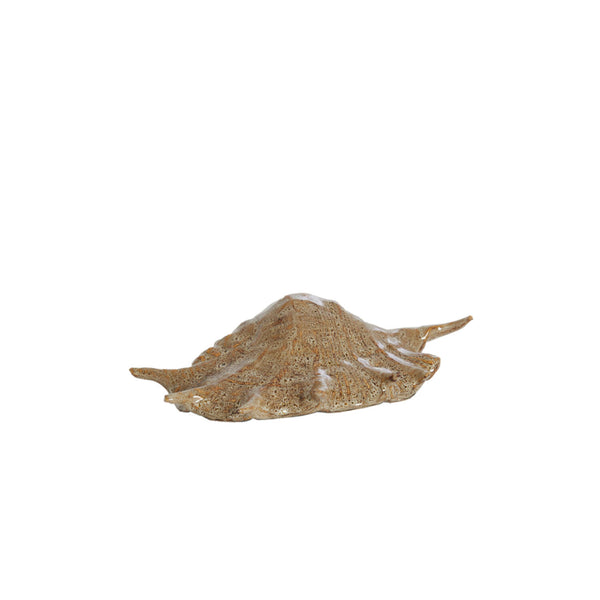 Shell skraut brown 26,5x16x7,5 cm