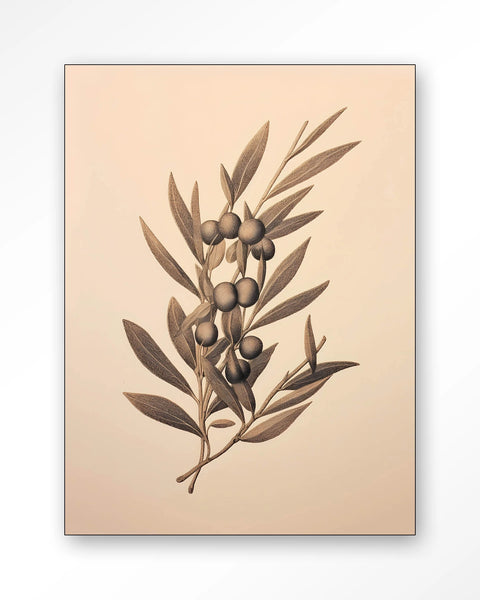 [018241042] Oliva veggmynd 110x145cm
