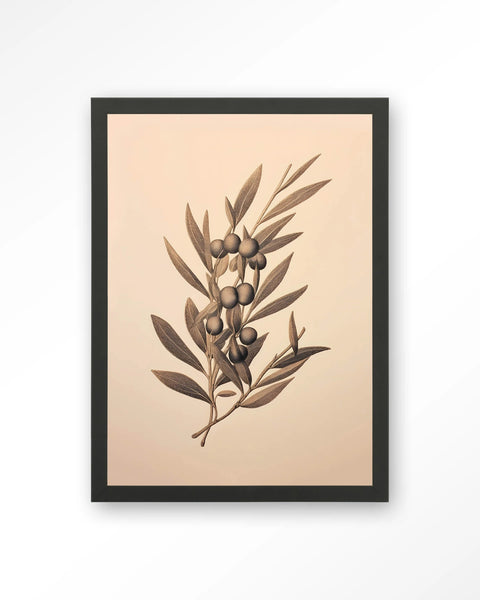 [01824104] Oliva veggmynd 40x50cm