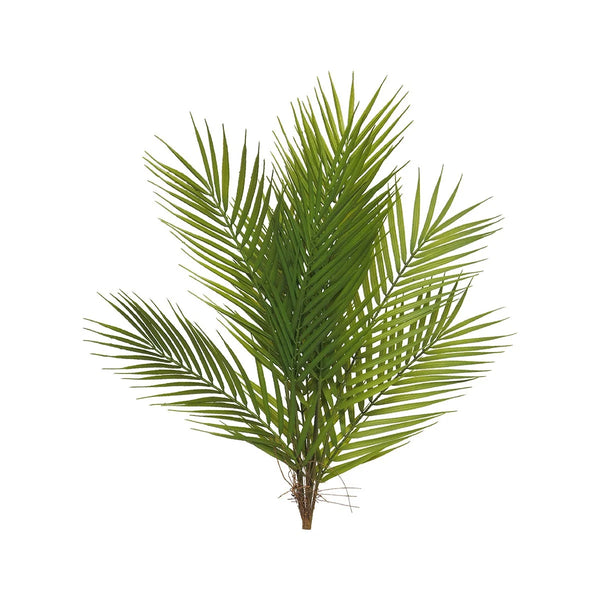 [0200253] Areca Palm Bundle 60cm
