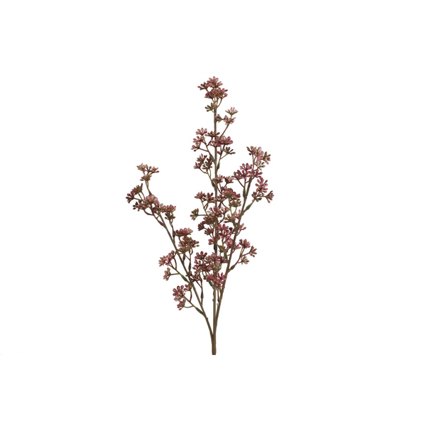 [2845787160] Kirsuberjagrein fuchsia 65cm
