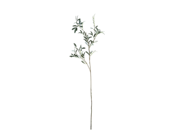 [28200001447] Olive græn h:120cm