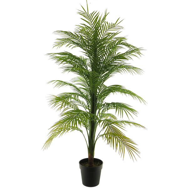 [0200266] Areca palm 140cm