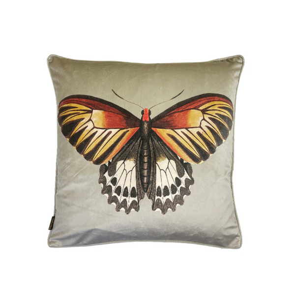 [2824LA241] Biscotti púði 50cm