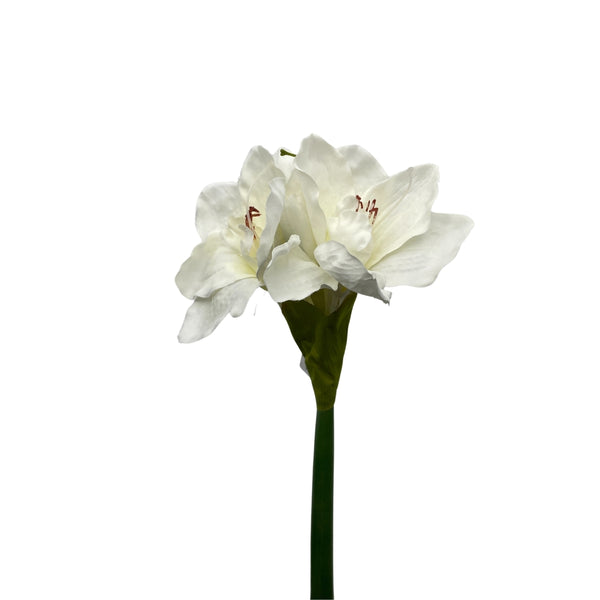Amaryllis hvítur 66cm