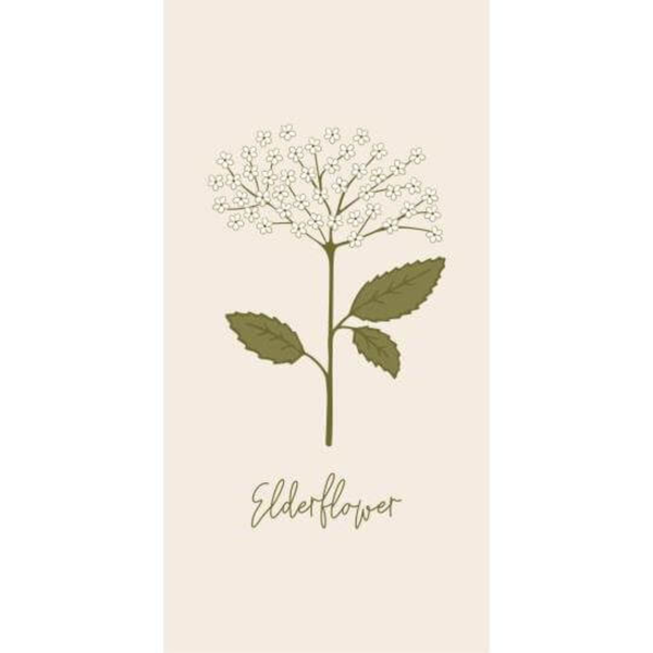 Servíettur Elderflower