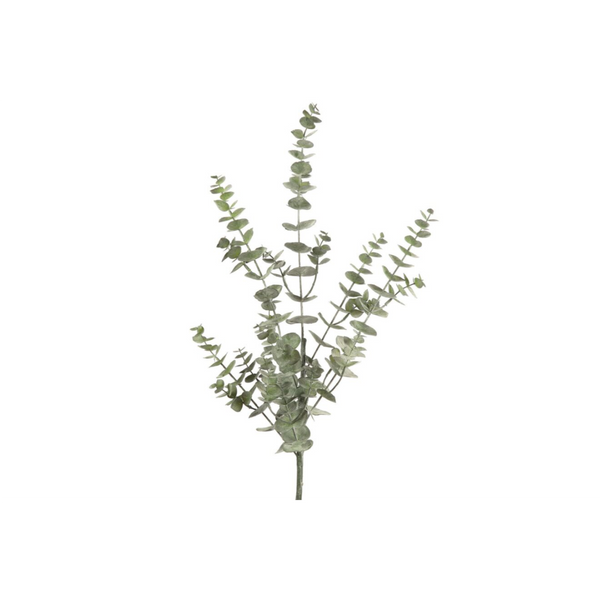 [2845779842] Eucalyptus grein 75cm