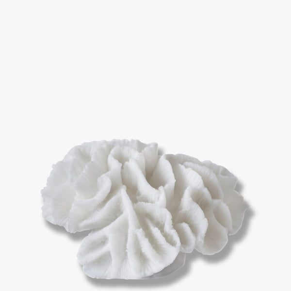 [010CORDEC04] Coral skraut