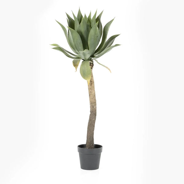 [016403091] Agave on stem - large