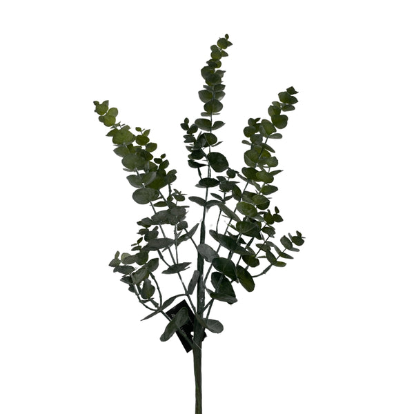 [2845779843] Eucalyptus – H: 90cm
