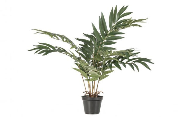[011379594-G] KWAI ARTIFICIAL PLANT GREEN 68CM