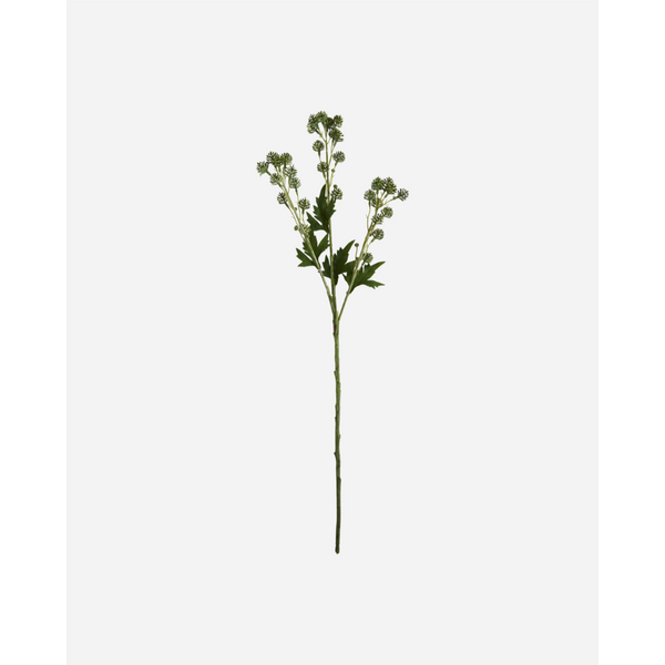 [28200001648] Sedum græn blóm