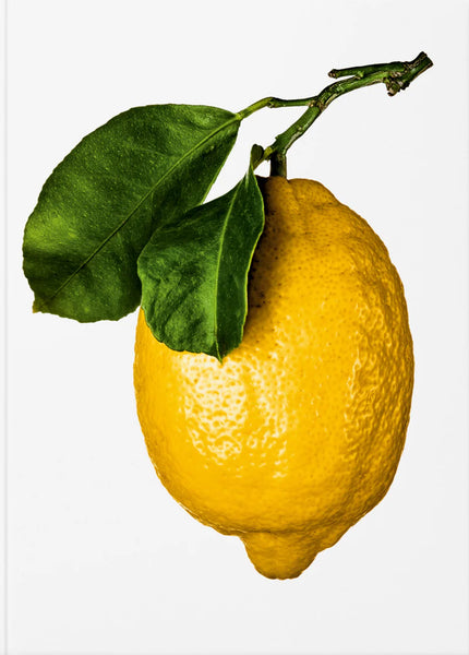 [025TA1696] The Gourmand's Lemon - Uppskriftabók