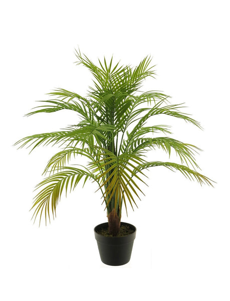 [02010265] Areca palm 90cm